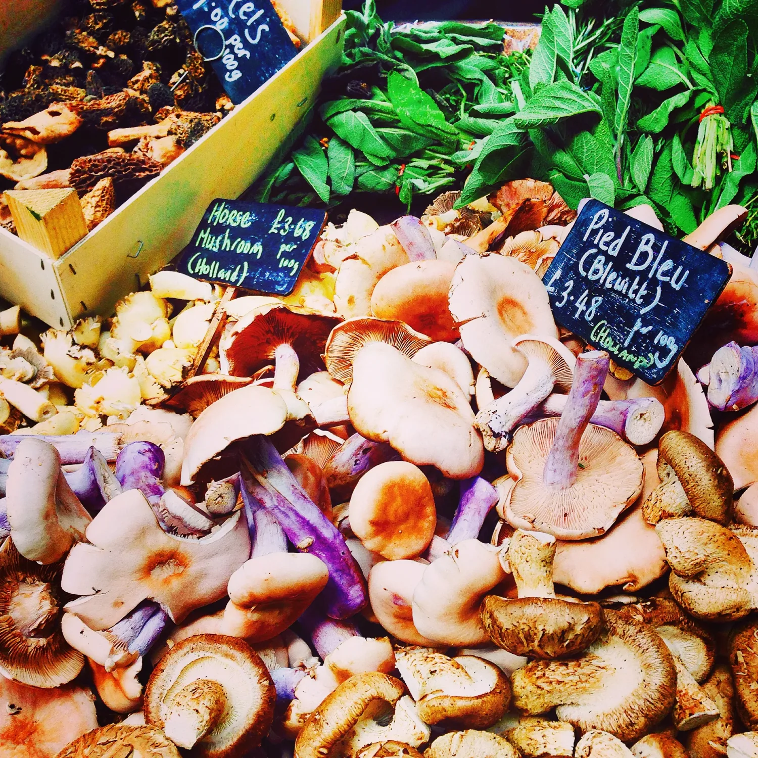 London, Mushrooms, Toast