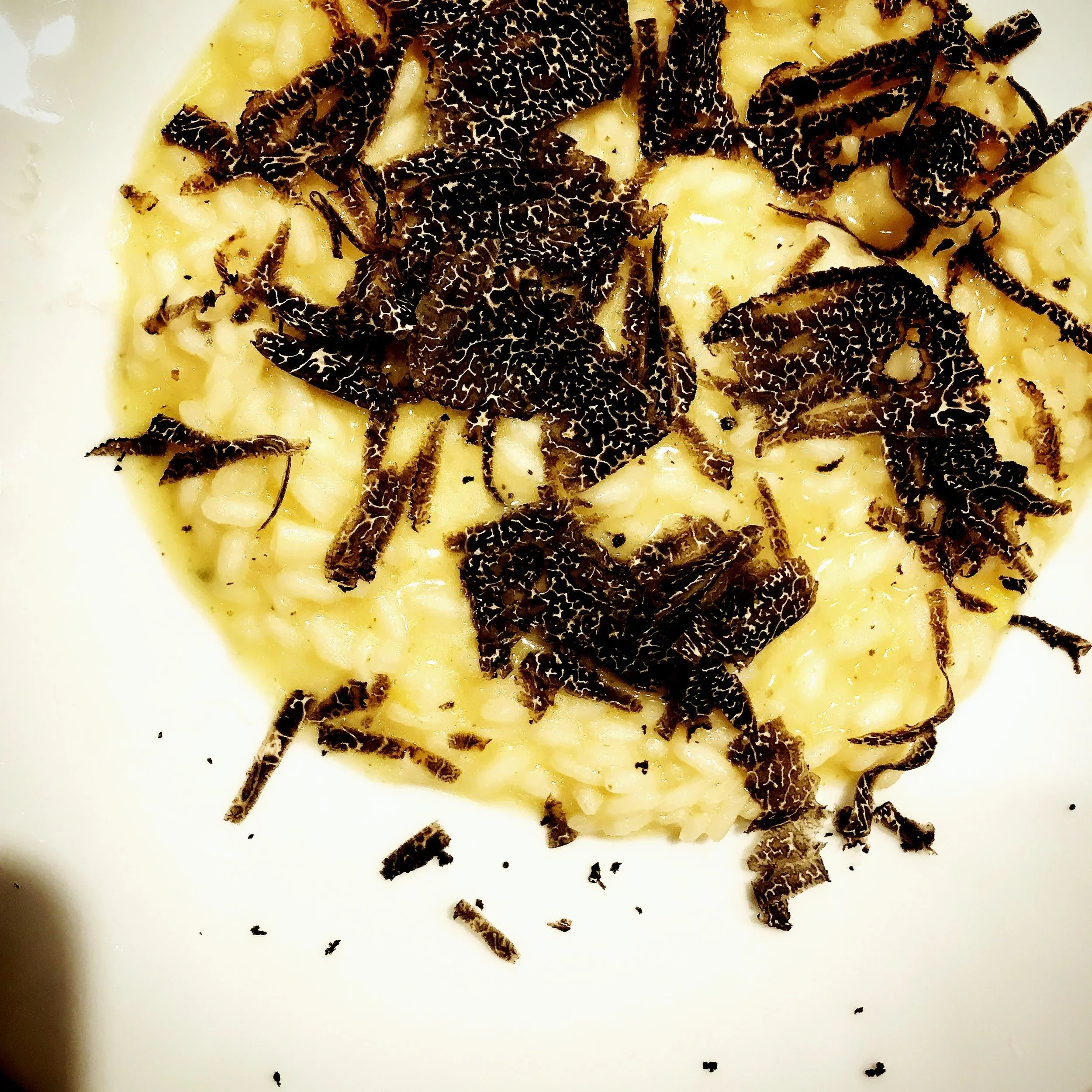 Truffle risotto