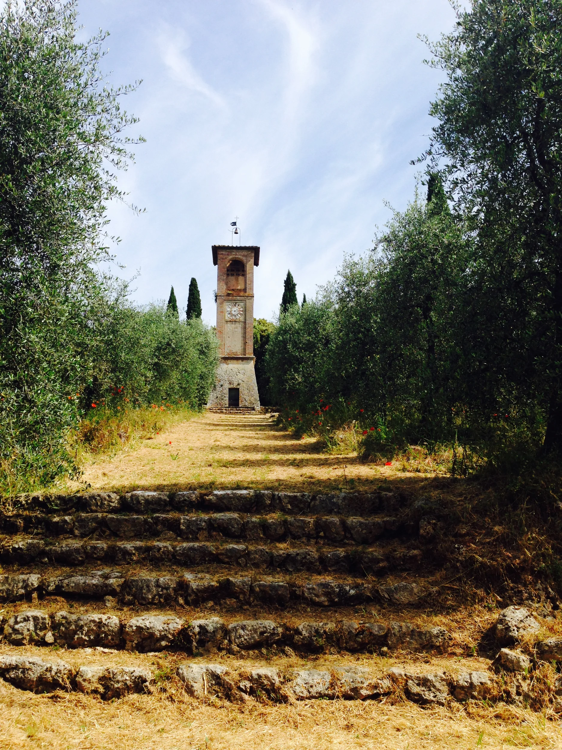 Tuscany, Siena. Italy. Slow roasted Lamb