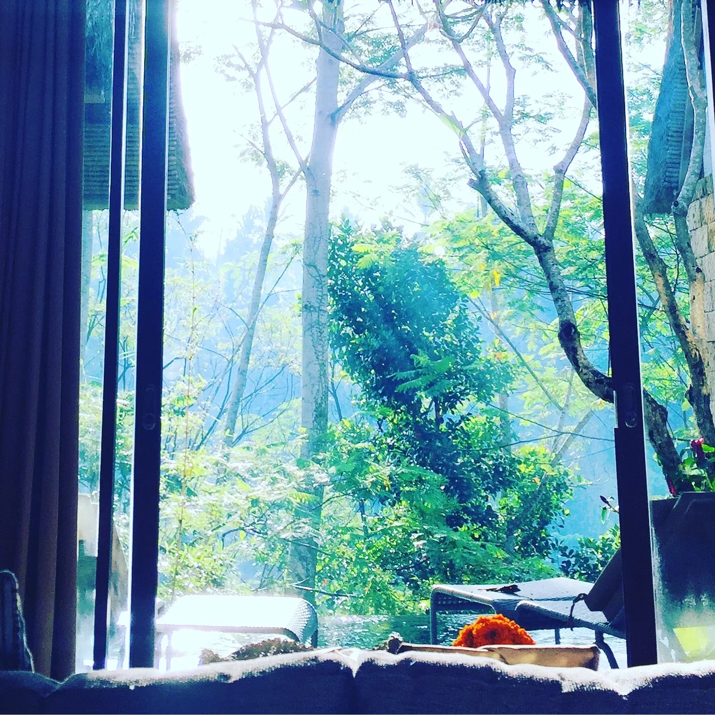Tejaprana resort and spa, Restaurant Locavore, Ubud Bali