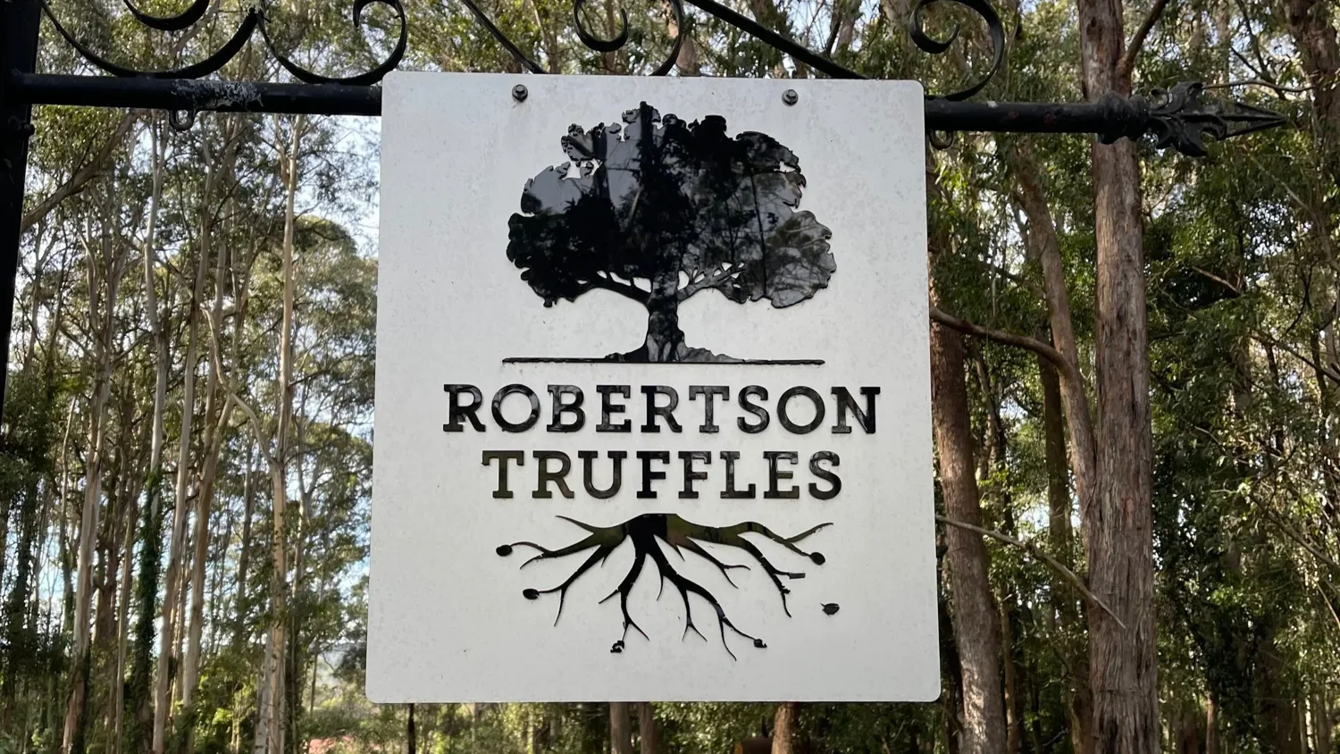 Truffle Cooking Recipes: Robertson Truffles Winter 2024