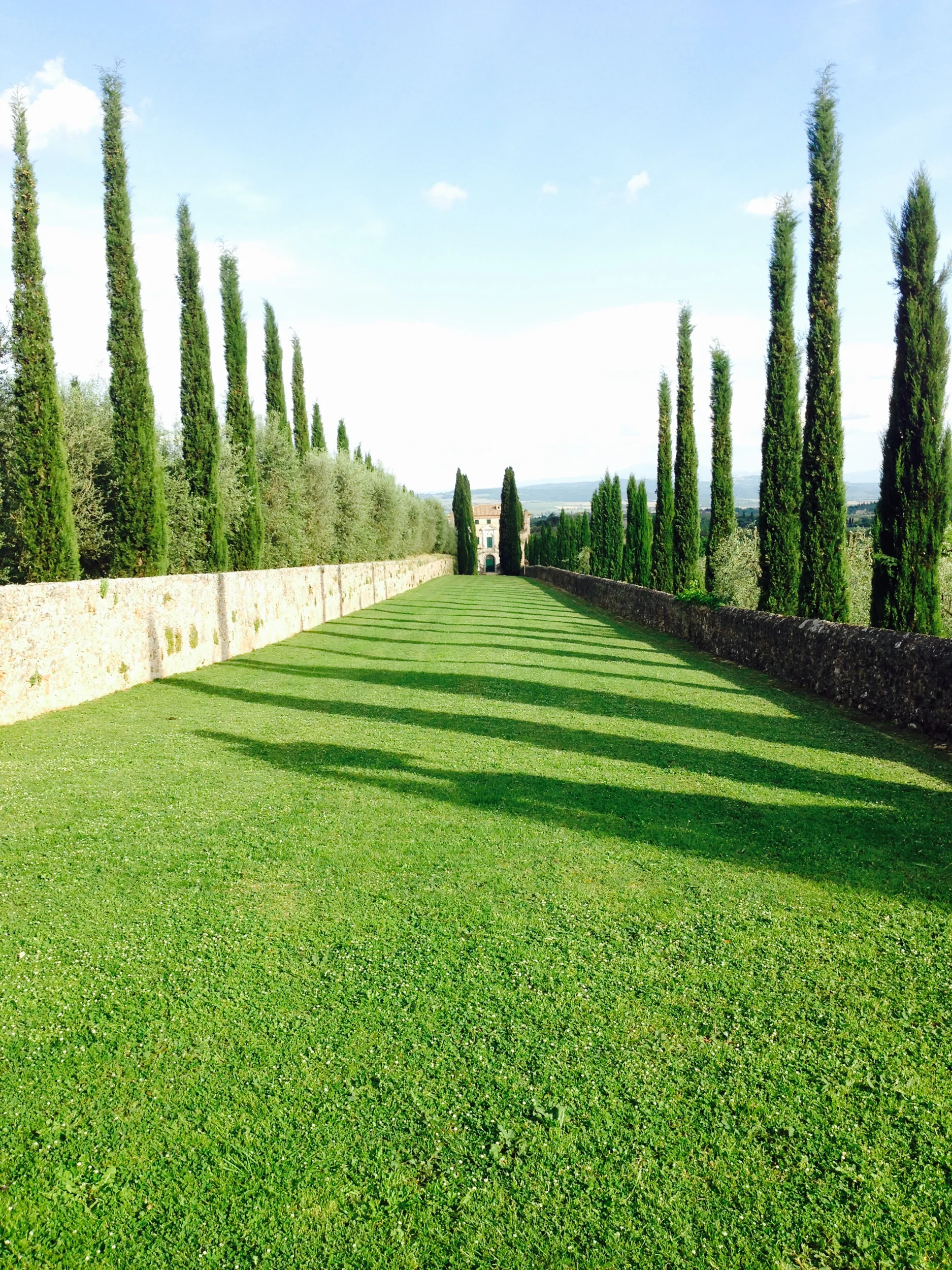 Tuscany, Siena. Italy. Slow roasted Lamb