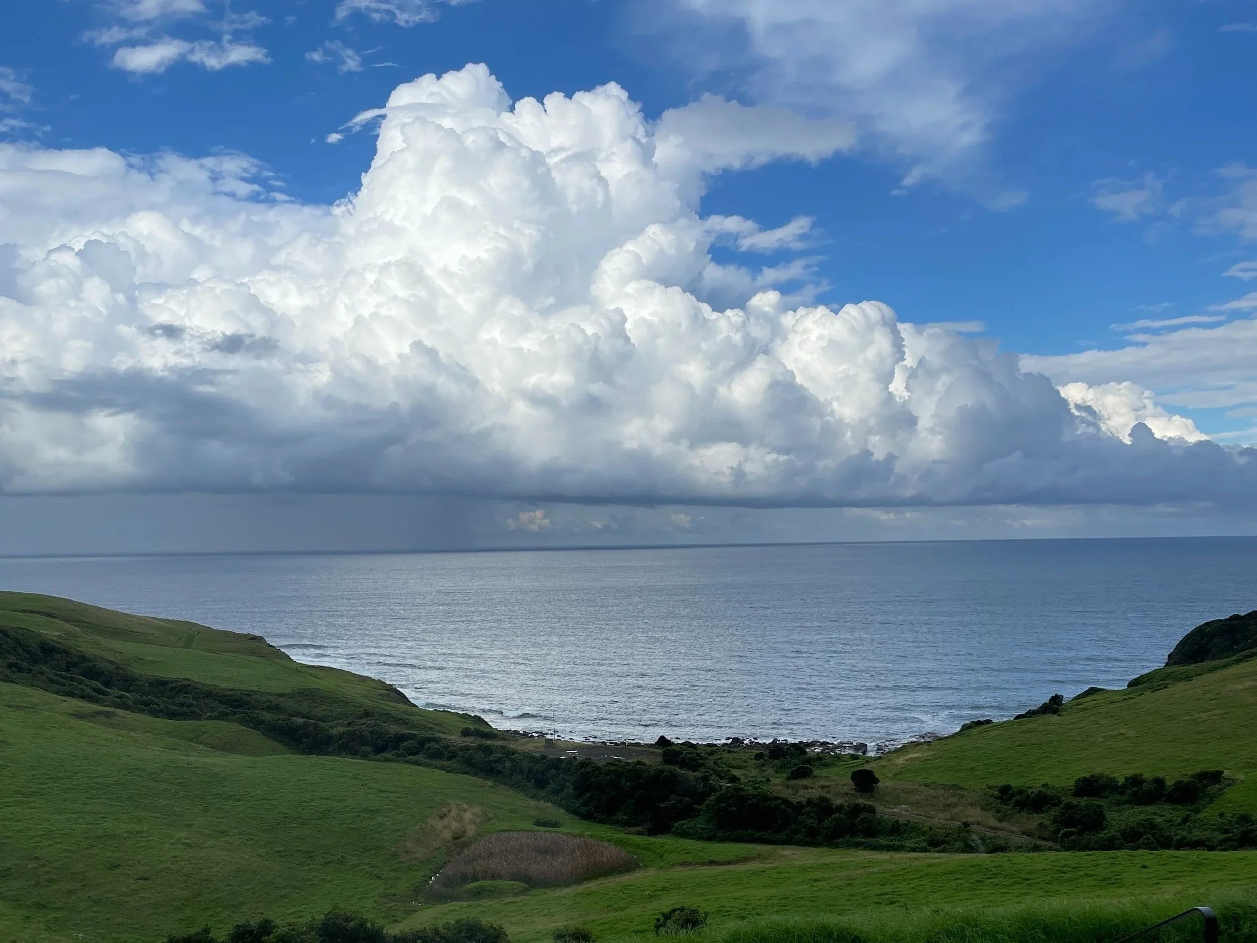 South Coast Wedding. Ocean Farm, Gerringong