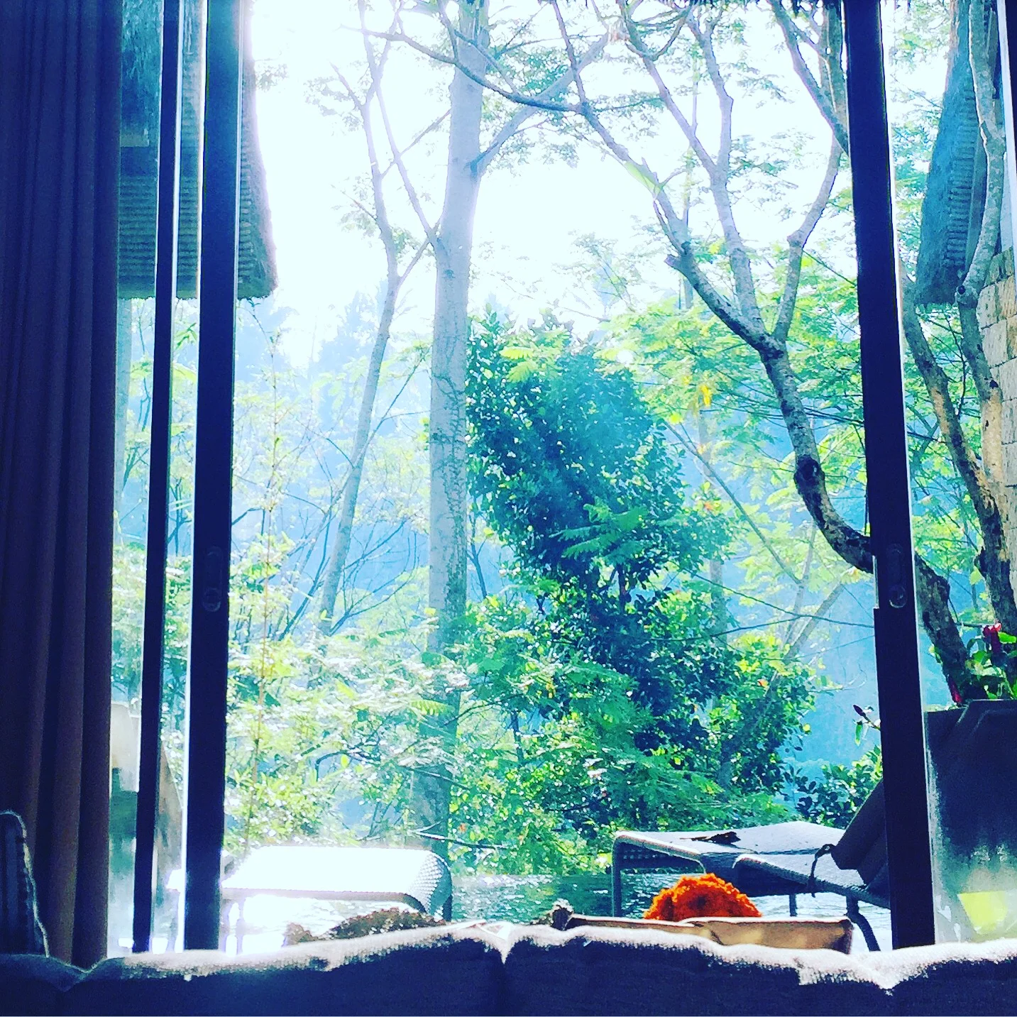 Tejaprana resort and spa, Restaurant Locavore, Ubud Bali
